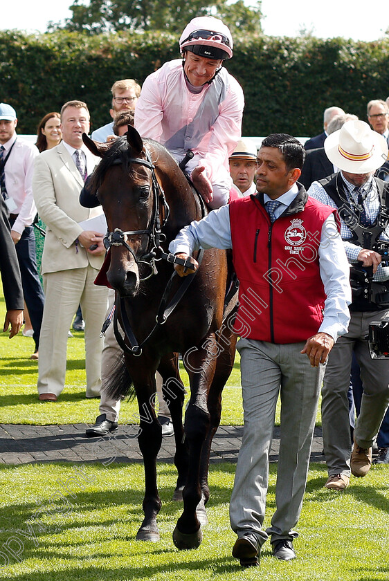 Too-Darn-Hot-0012 
 TOO DARN HOT (Frankie Dettori) after The Qatar Sussex Stakes
Goodwood 31 Jul 2019 - Pic Steven Cargill / Racingfotos.com