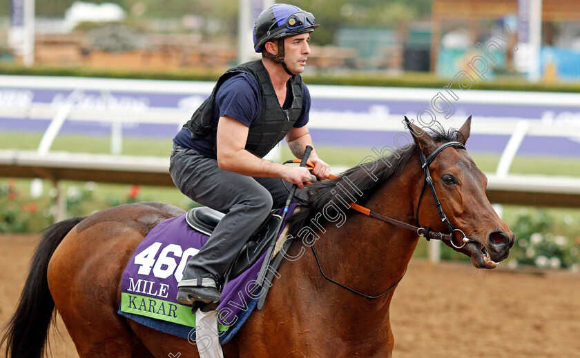 Karar-0001 
 KARAR training for The Breeders' Cup Mile at Del Mar USA 31 Oct 2017 - Pic Steven Cargill / Racingfotos.com