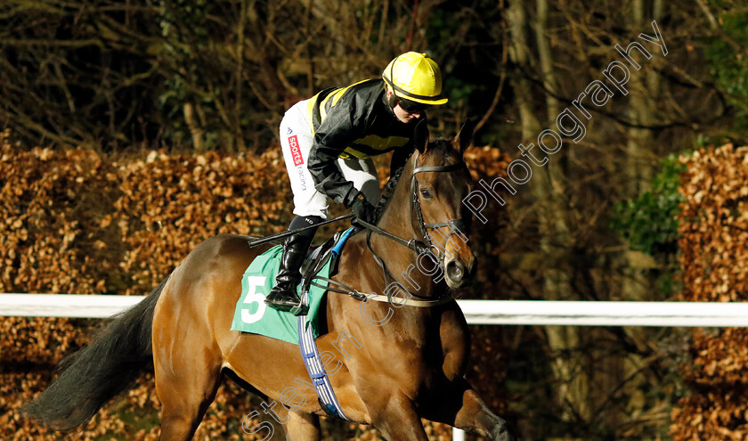 Home-City-0001 
 HOME CITY (Saffie Osborne)
Kempton 14 Feb 2024 - Pic Steven Cargill / Racingfotos.com