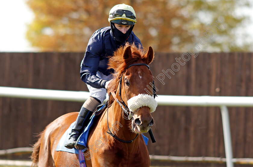 Traila-0003 
 TRAILA (Richard Kingscote)
Leicteser 24 Apr 2021 - Pic Steven Cargill / Racingfotos.com