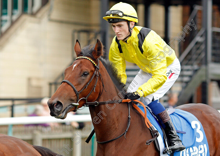 Ameynah 
 AMEYNAH (David Egan)
Newmarket 8 Oct 2021 - Pic Steven Cargill / Racingfotos.com