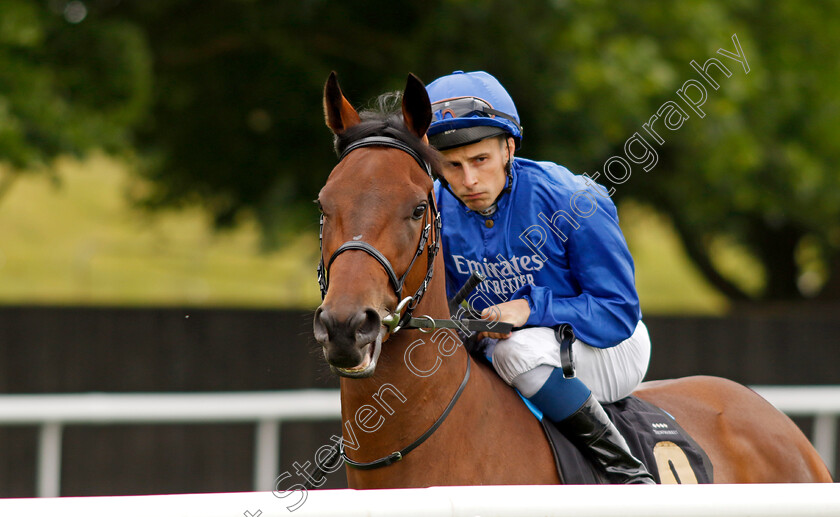 Dance-Sequence-0009 
 DANCE SEQUENCE (William Buick) winner of The Blandford Bloodstock Maiden Fillies Stakes
Newmarket 1 Jul 2023 - Pic Steven Cargill / Racingfotos.com