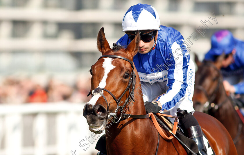 Fox-Chairman-0007 
 FOX CHAIRMAN (Silvestre De Sousa) wins The Dubai Duty Free Tennis Championships Maiden Stakes Div1
Newbury 13 Apr 2019 - Pic Steven Cargill / Racingfotos.com