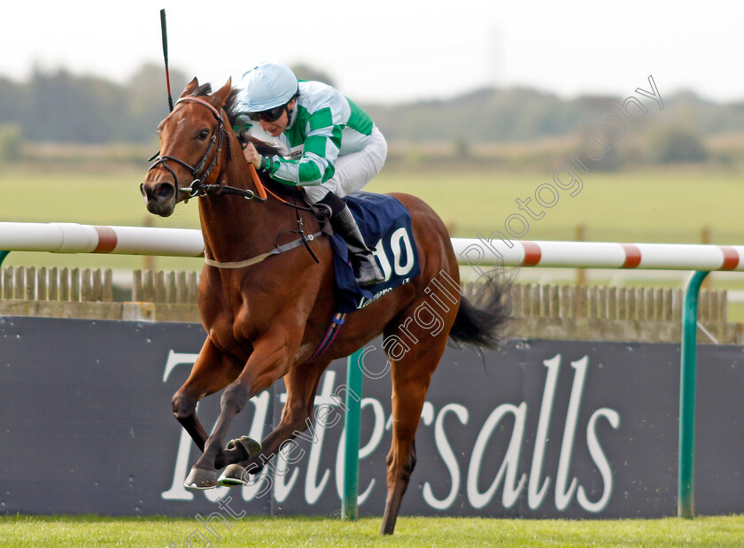 Woodhay-Wonder-0006 
 WOODHAY WONDER (P J McDonald) wins The £150,000 Tattersalls October Auction Stakes
Newmarket 7 Oct 2023 - Pic Steven Cargill / Racingfotos.com