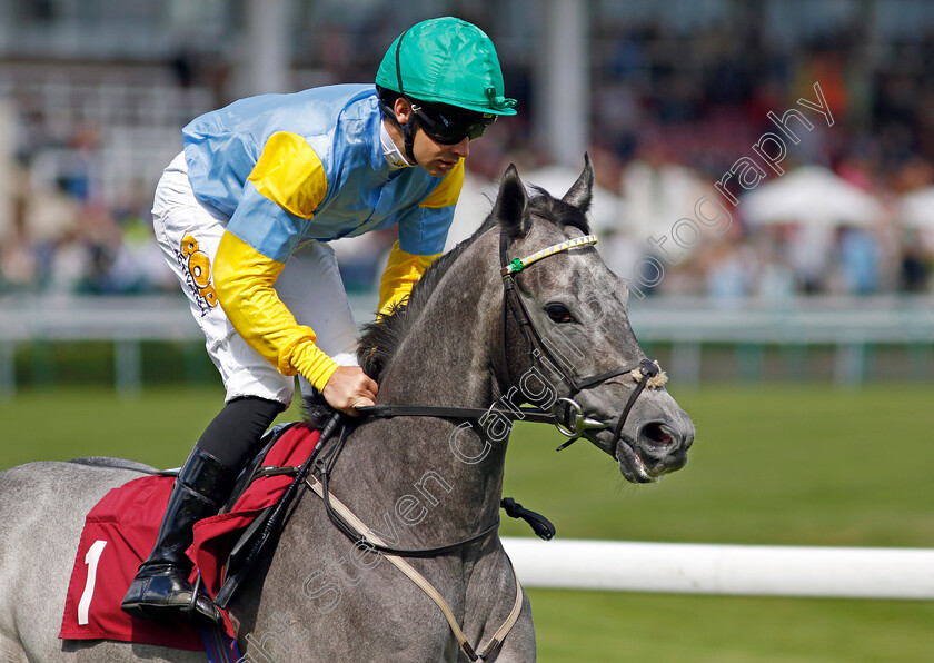 Silver-Trumpet-0001 
 SILVER TRUMPET (Charles Bishop)
Haydock 8 Jun 2024 - Pic Steven Cargill / Racingfotos.com