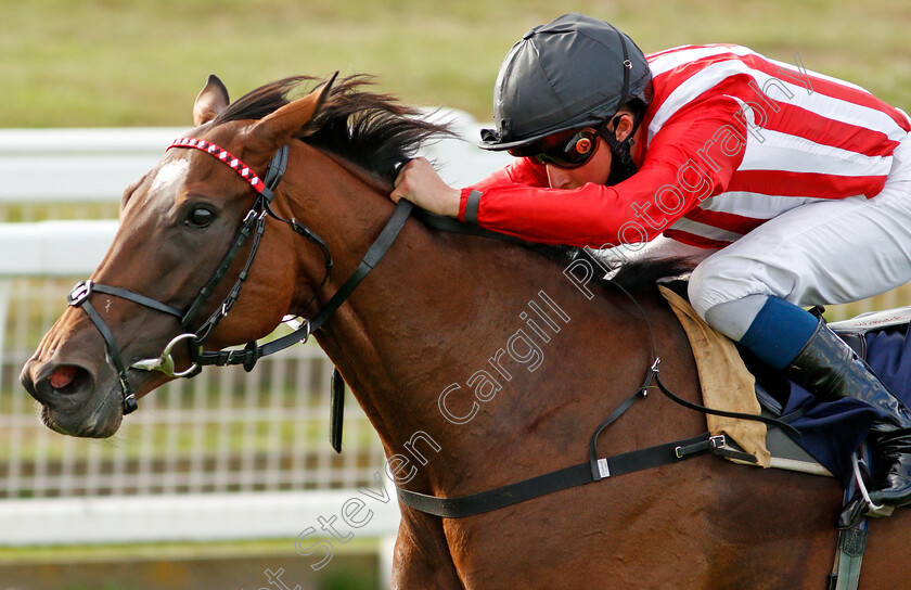 Redemptive-0006 
 REDEMPTIVE (William Buick) wins The Watch Free Replays On attheraces.com Handicap Div2
Yarmouth 25 Aug 2020 - Pic Steven Cargill / Racingfotos.com