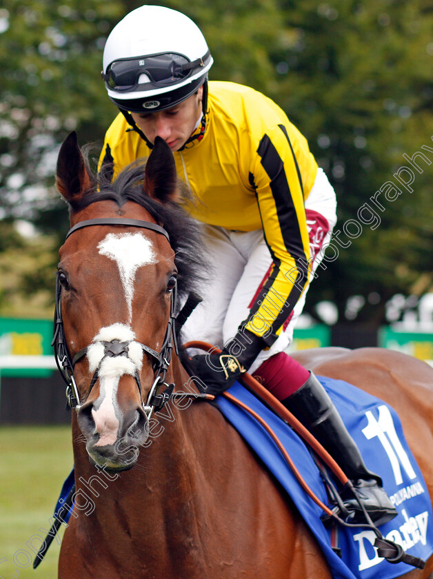 Pretty-Pollyanna-0001 
 PRETTY POLLYANNA (Oisin Murphy)
Newmarket 13 Jul 2019 - Pic Steven Cargill / Racingfotos.com