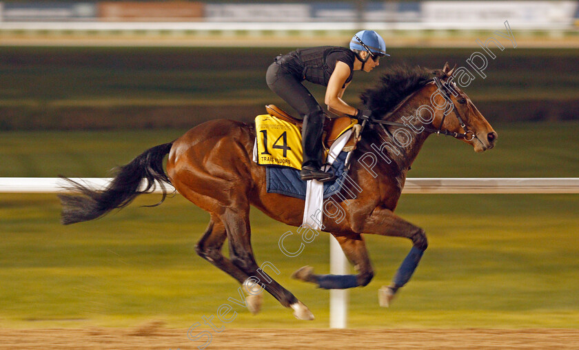 Trais-Fluors-0001 
 TRAIS FLUORS exercising in preparation for The Dubai Turf Meydan 28 Mar 2018 - Pic Steven Cargill / Racingfotos.com