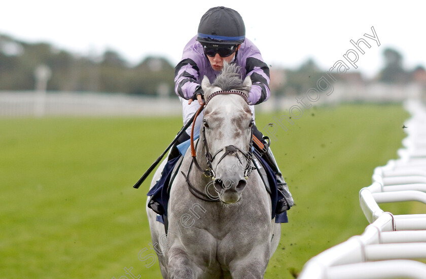 First-Folio-0002 
 FIRST FOLIO (Taylor Fisher) wins The National Horseracing Museum Supported By ARC Handicap
Yarmouth 15 Sep 2022 - Pic Steven Cargill / Racingfotos.com