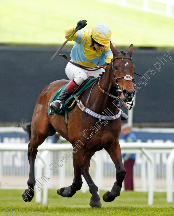 Popaway-0005 
 POPAWAY (Immy Robinson) wins The Visit cheltenham.com Mares Open Hunters Chase Cheltenham 4 May 2018 - Pic Steven Cargill / Racingfotos.com