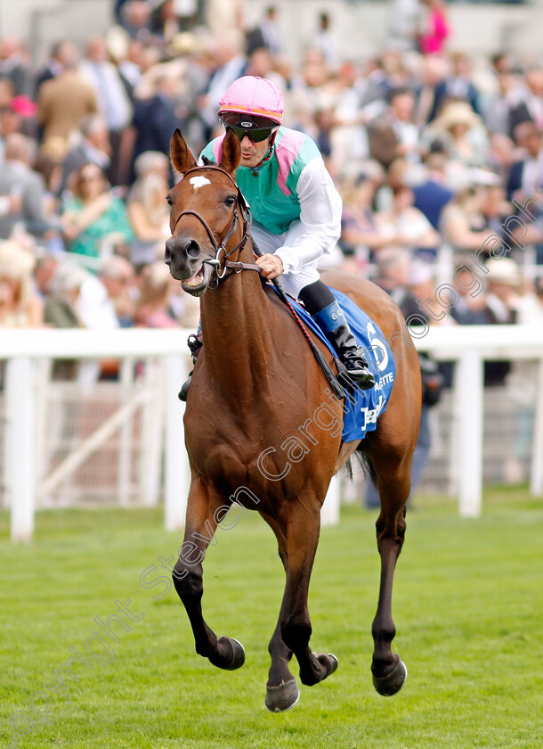 Raclette-0002 
 RACLETTE (Olivier Peslier)
York 18 Aug 2022 - Pic Steven Cargill / Racingfotos.com