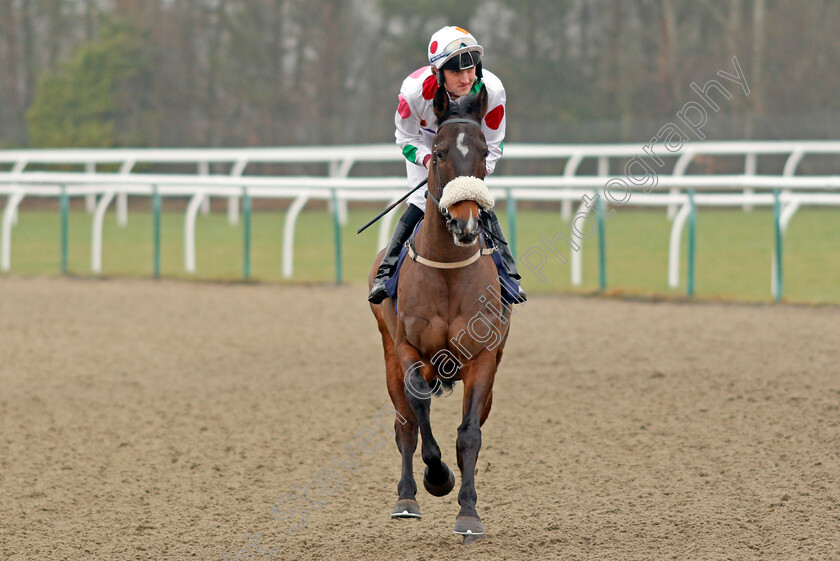 Mime-Dance-0001 
 MIME DANCE (Tim Clark) Lingfield 12 Jan 2018 - Pic Steven Cargill / Racingfotos.com