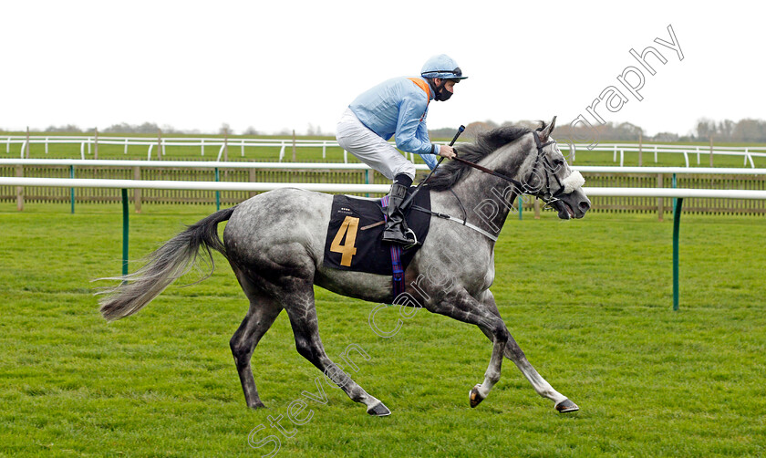 Ventura-Lightning-0001 
 VENTURA LIGHTNING (Tony Hamilton)
Newmarket 30 Oct 2020 - Pic Steven Cargill / Racingfotos.com