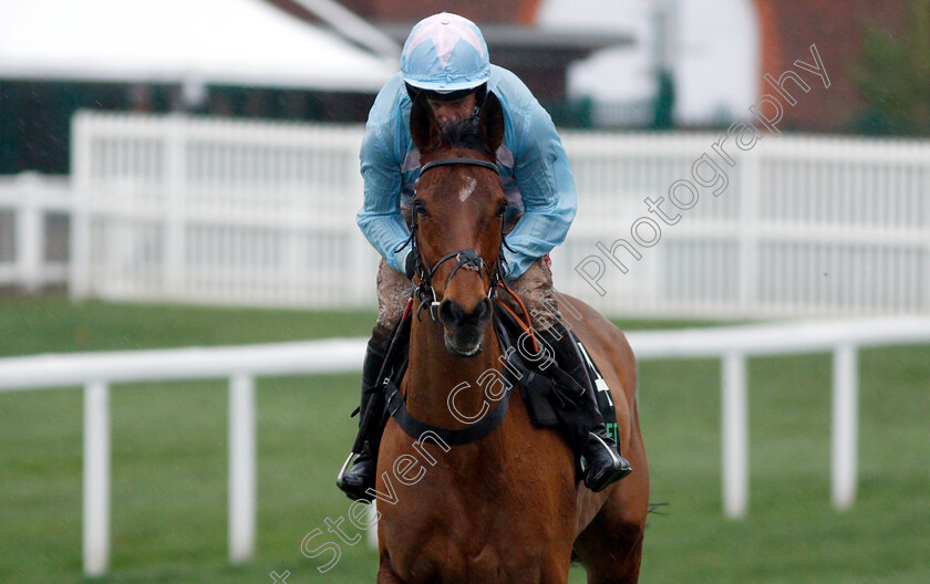 Summerville-Boy-0001 
 SUMMERVILLE BOY (Noel Fehily)
Cheltenham 15 Dec 2018 - Pic Steven Cargill / Racingfotos.com