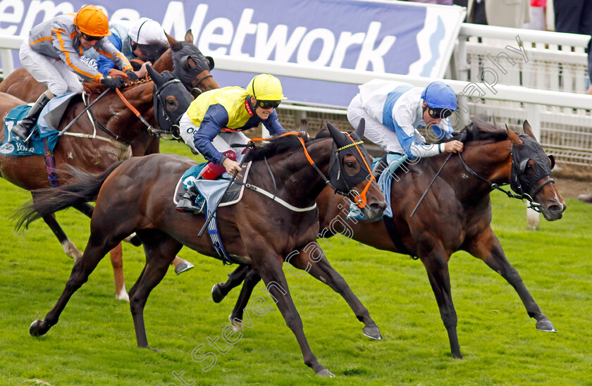 Ropey-Guest-0005 
 ROPEY GUEST (right, Tom Queally) beats POINT LYNAS (centre) in The Clipper Handicap
York 24 Aug 2023 - Pic Steven Cargill / Racingfotos.com