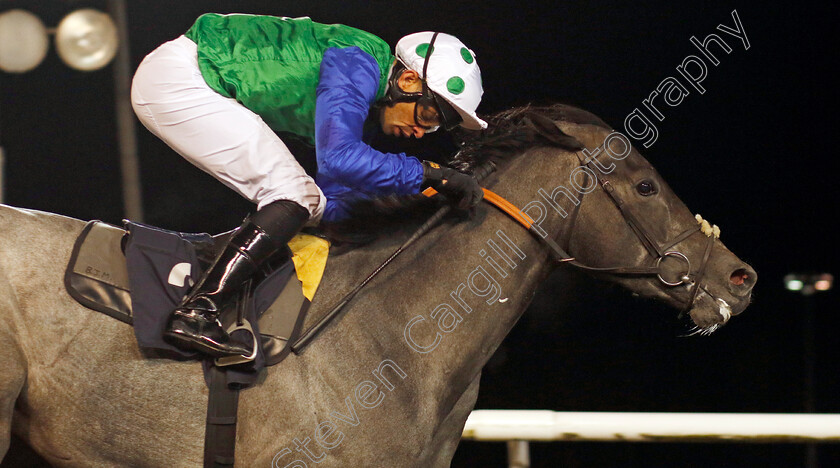 Hippocratic-Oath-0001 
 HIPPOCRATIC OATH (Sean Levey) wins The Betmgm Nursery
Wolverhampton 20 Dec 2024 - Pic Steven Cargill / Racingfotos.com