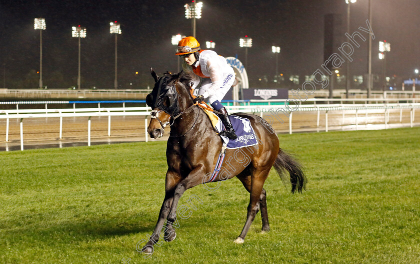 New-York-City-0001 
 NEW YORK CITY (Saffie Osborne)
Meydan 27 Jan 2023 - Pic Steven Cargill / Racingfotos.com