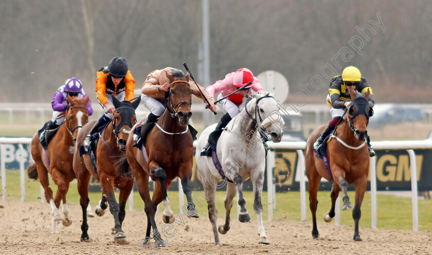 Nine-Tenths-0005 
 NINE TENTHS (left, William Buick) beats MISTY GREY (centre) and DOCTOR KHAN JUNIOR (right) in The Betmgm Lady Wulfruna Stakes
Wolverhampton 9 Mar 2024 - Pic Steven Cargill / Racingfotos.com