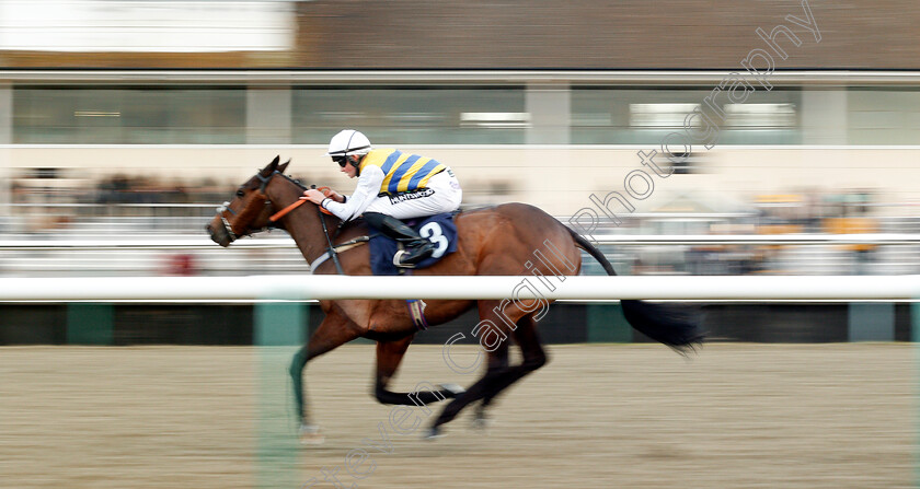 Outer-Space-0001 
 OUTER SPACE (William Cox) wins The Play Jackpot Games At sunbets.co.uk/vegas Claiming Stakes Lingfield 2 Feb 2018 - Pic Steven Cargill / Racingfotos.com