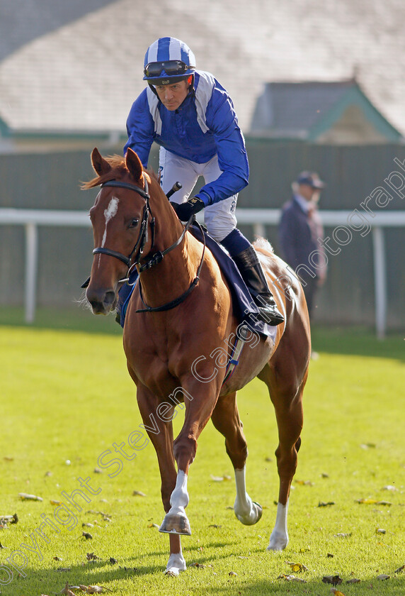 Hanaady-0001 
 HANAADY (Jim Crowley)
Yarmouth 19 Oct 2021 - Pic Steven Cargill / Racingfotos.com