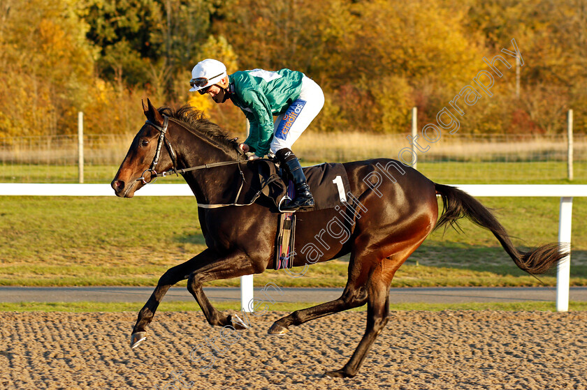 Valley-Of-Flowers-0001 
 VALLEY OF FLOWERS (Shane Gray)
Chelmsford 22 Oct 2020 - Pic Steven Cargill / Racingfotos.com