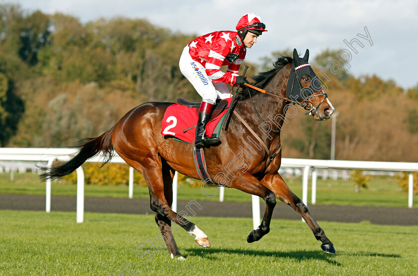 New-Agenda-0001 
 NEW AGENDA (Richard Johnson) Kempton 22 Oct 2017 - Pic Steven Cargill / Racingfotos.com