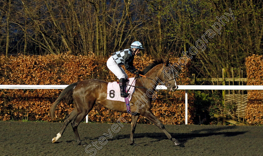 Worrals-0001 
 WORRALS (Laura Pearson)
Kempton 14 Feb 2024 - Pic Steven Cargill / Racingfotos.com