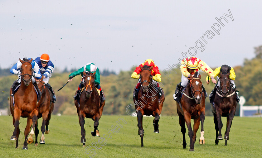 Francis-Xavier-0001 
 FRANCIS XAVIER (2nd right, Rossa Ryan) beats PROTECTED GUEST (left) in The Victoria Racing Club Handicap
Ascot 6 Sep 2019 - Pic Steven Cargill / Racingfotos.com