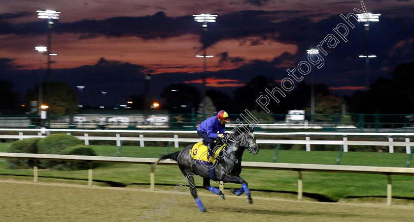 Roaring-Lion-0004 
 ROARING LION (Frankie Dettori) exercising ahead of The Breeders' Cup Classic
Churchill Downs USA 31 Oct 2018 - Pic Steven Cargill / Racingfotos.com