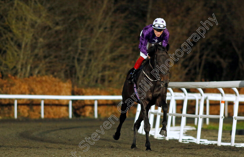 Elegant-Man-0002 
 ELEGANT MAN (David Egan)
Kempton 13 Dec 2023 - Pic Steven Cargill / Racingfotos.com