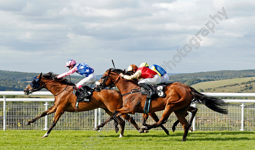 Seinesational-0005 
 SEINESATIONAL (Oisin Murphy) beats C'EST LA MOUR (right) in The Ladbrokes Get Your Daily Odds Boost Handicap
Goodwood 29 Aug 2020 - Pic Steven Cargill / Racingfotos.com