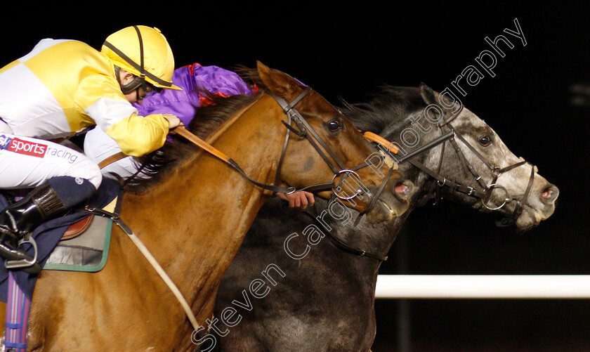 Rocket-Action-0005 
 ROCKET ACTION (Tom Queally) beats CORINTHIA KNIGHT (left) in The Betway Handicap
Wolverhampton 26 Nov 2019 - Pic Steven Cargill / Racingfotos.com