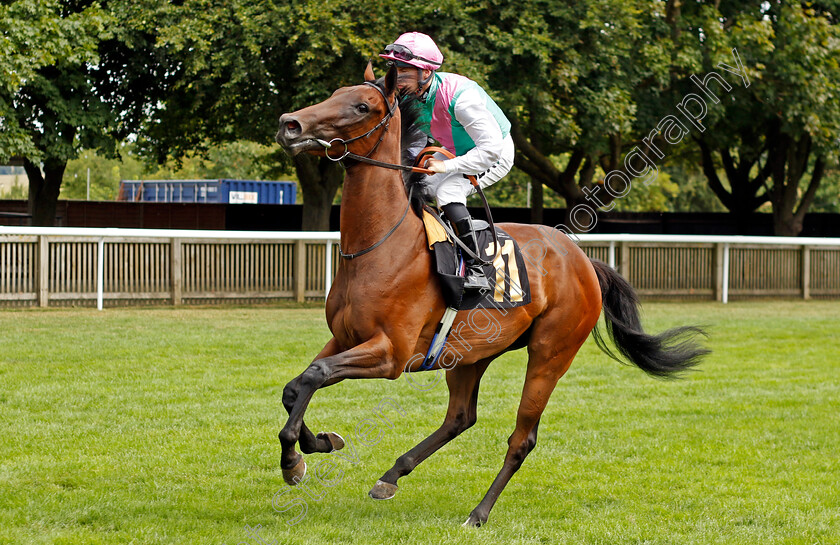 Prepense 
 PREPENSE (Richard Kingscote)
Newmarket 30th July 2022 - Pic Steven Cargill / Racingfotos.com