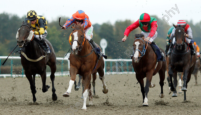 Prominna-0005 
 PROMINNA (centre, Luke Morris) beats MERCERS (left) and ROY'S LEGACY (right) in The 188bet Casino Handicap
Lingfield 4 Oct 2018 - Pic Steven Cargill / Racingfotos.com