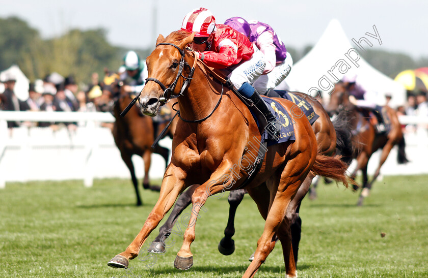 Daahyeh-0006 
 DAAHYEH (David Egan) wins The Albany Stakes
Royal Ascot 21 Jun 2019 - Pic Steven Cargill / Racingfotos.com