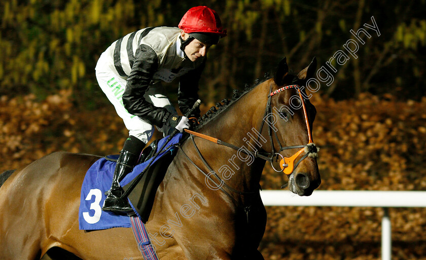 Battle-Of-Paradise-0002 
 BATTLE OF PARADISE (Luke Morris)
Kempton 16 Jan 2019 - Pic Steven Cargill / Racingfotos.com