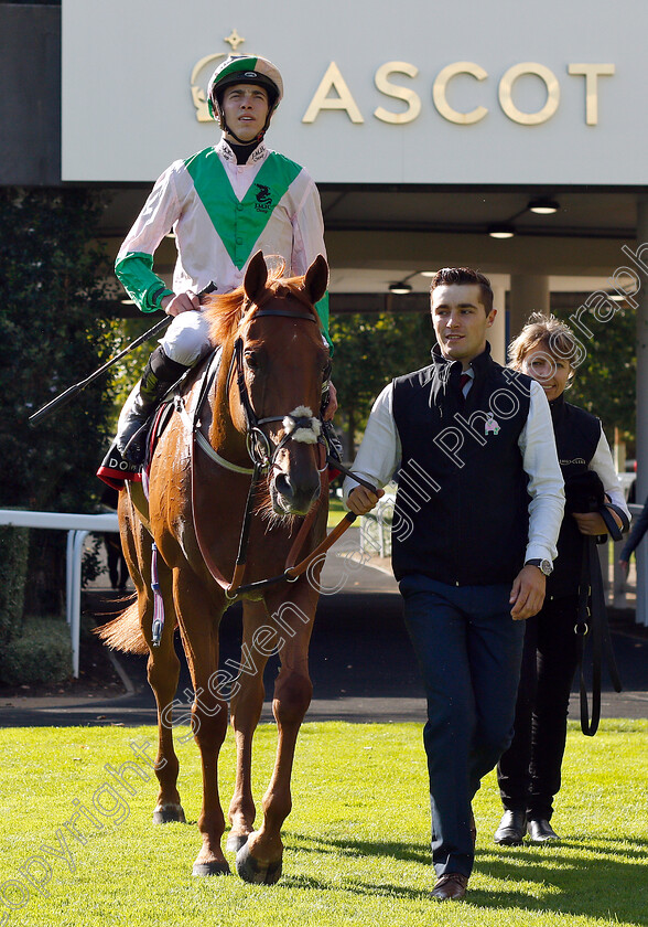 Isomer-0003 
 ISOMER (James Doyle) after The Chapel Down Classified Stakes
Ascot 7 Sep 2018 - Pic Steven Cargill / Racingfotos.com