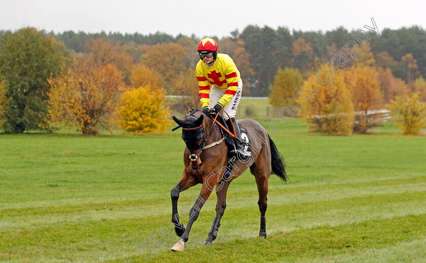 Jack-Doyen-0002 
 JACK DOYEN (Jack Quinlan)
Market Rasen 17 Nov 2022 - Pic Steven Cargill / Racingfotos.com