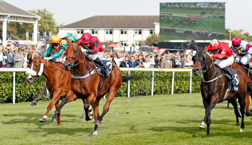 Oxted-0002 
 OXTED (Cieren Fallon) beats SHOW STEALER (left) and ARECIBO (right) in The William Hill Portland Handicap
Doncaster 14 Sep 2019 - Pic Steven Cargill / Racingfotos.com