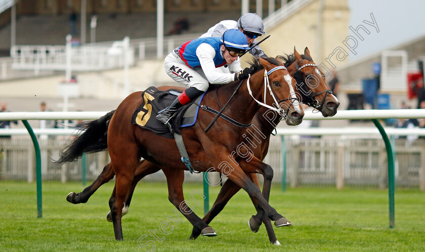 First-Officer-0001 
 FIRST OFFICER (David Egan) wins The Newmarket Challenge Whip
Newmarket 28 Sep 2023 - Pic Steven Cargill / Racingfotos.com