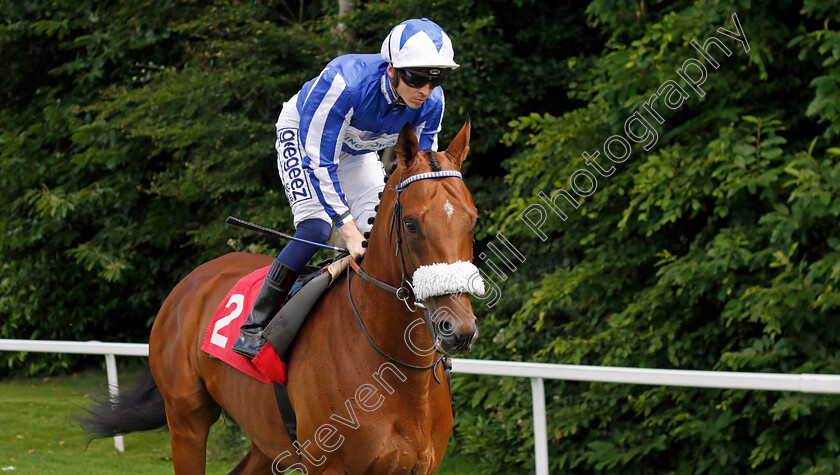 Foxes-Tales 
 FOXES TALES (David Probert)
Sandown 1 Jul 2022 - Pic Steven Cargill / Racingfotos.com