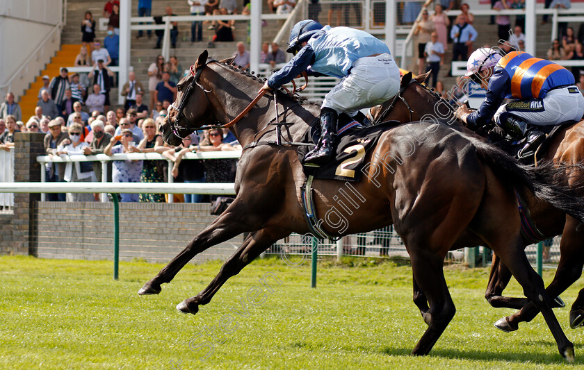 Danzeno-0004 
 DANZENO (Ray Dawson) wins The It Pays To Buy Irish EBF Conditions Stakes
Nottingham 10 Aug 2021 - Pic Steven Cargill / Racingfotos.com