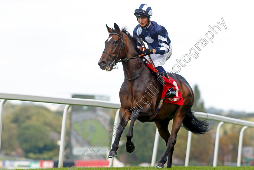 Certain-Lad-0001 
 CERTAIN LAD (George Bass)
Sandown 2 Sep 2023 - Pic Steven Cargill / Racingfotos.com