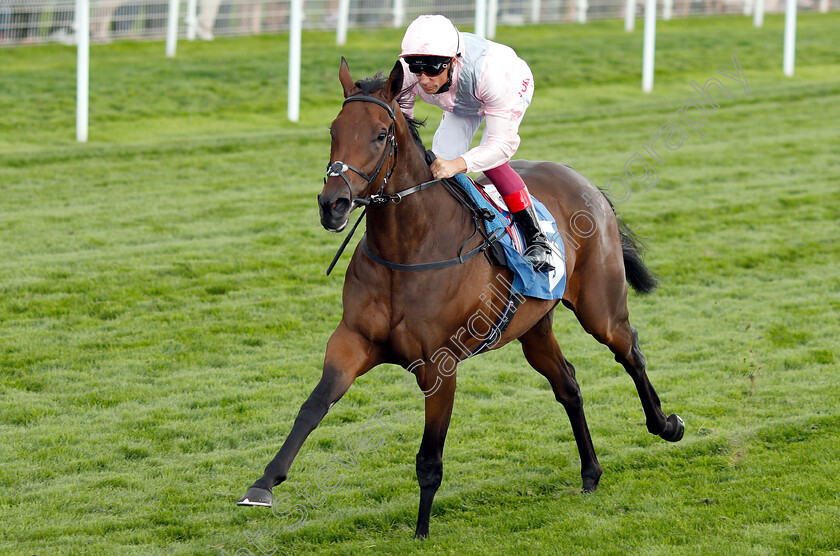 Lah-Ti-Dar-0006 
 LAH TI DAR (Frankie Dettori) wins The British EBF & Sir Henry Cecil Galtres Stakes
York 23 Aug 2018 - Pic Steven Cargill / Racingfotos.com