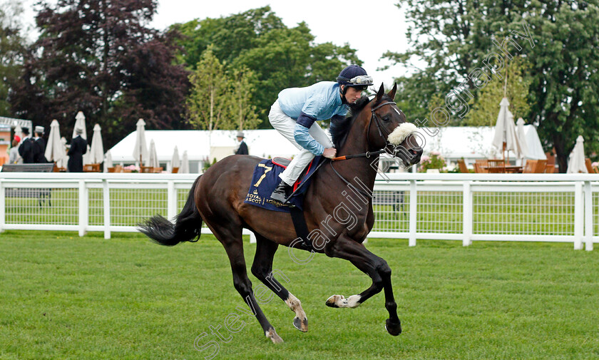 Title-0002 
 TITLE (David Egan)
Royal Ascot 18 Jun 2021 - Pic Steven Cargill / Racingfotos.com