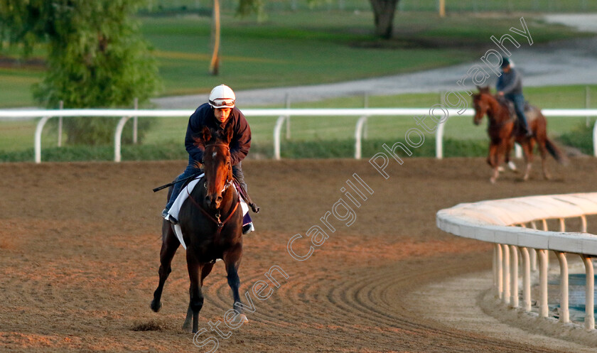 Tamara-0003 
 TAMARA training for The Breeders' Cup Juvenile Fillies
Santa Anita USA, 31 October 2023 - Pic Steven Cargill / Racingfotos.com