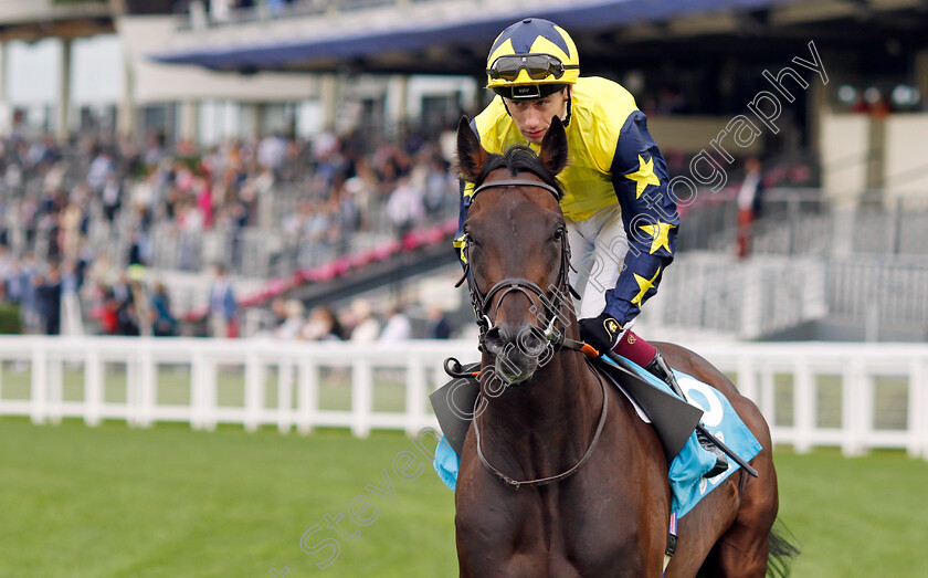 Tabletalk-0002 
 TABLETALK (Oisin Murphy)
Ascot 26 Jul 2024 - Pic Steven Cargill / Racingfotos.com