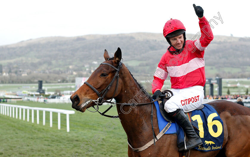 Eglantine-Du-Seuil-0004 
 EGLANTINE DU SEUIL (Noel Fehily) after The National Hunt Breeders Supported By Tattersalls Mares Novices Hurdle
Cheltenham 14 Mar 2019 - Pic Steven Cargill / Racingfotos.com