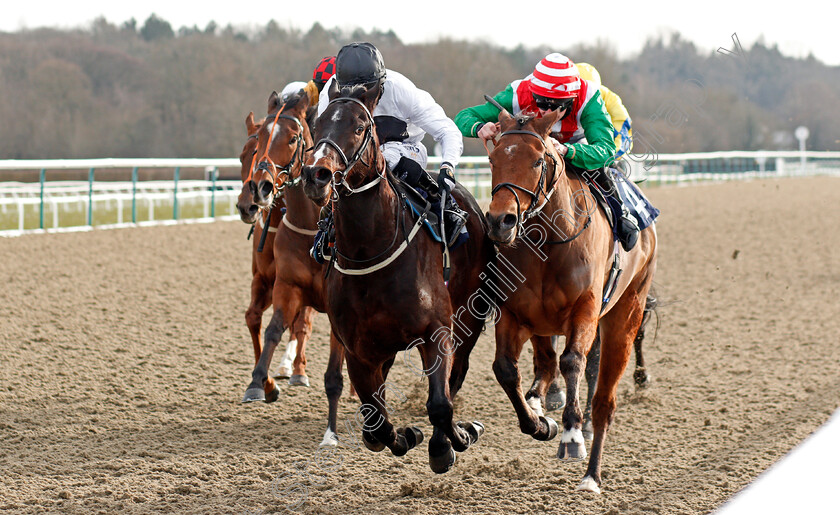 Crackling-0003 
 CRACKLING (left, Ryan Moore) beats APEX KING (right) in The Bombardier British Hopped Amber Beer Handicap
Lingfield 13 Feb 2021 - Pic Steven Cargill / Racingfotos.com