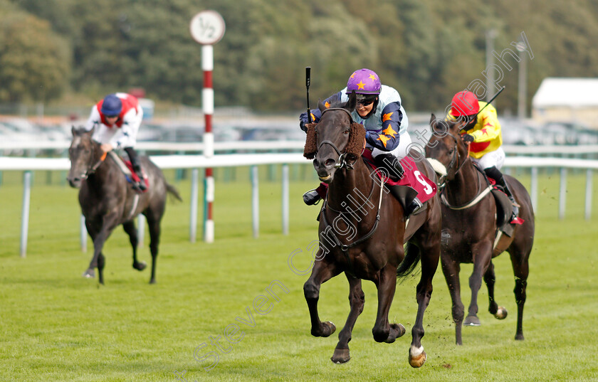 Hyperfocus-0004 
 HYPERFOCUS (Rachel Richardson) wins The More Ways To Win On Betfair Handicap
Haydock 4 Sep 2020 - Pic Steven Cargill / Racingfotos.com